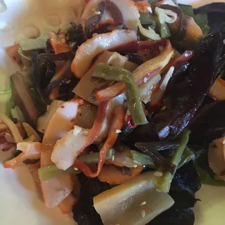 Squid