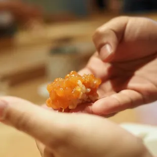 Salmon Roe Uni Don