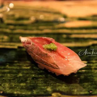 Horse Mackerel
