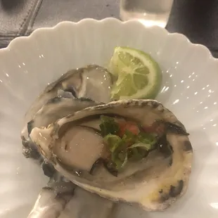 Oysters