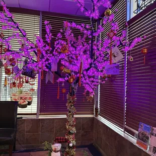 Pretty tree in the entrance