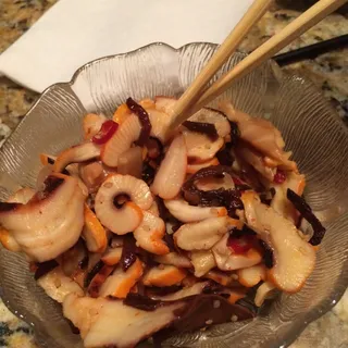 SEA GARDEN SQUID