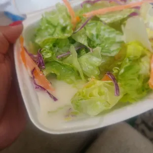 Side salad FULL of Water. Gross!