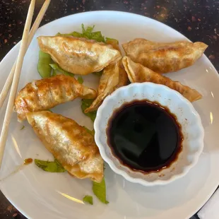 Pork and vegetable dumplings