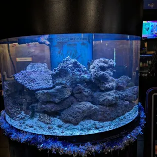 a fish tank in a store