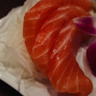 Salmon Sashimi
