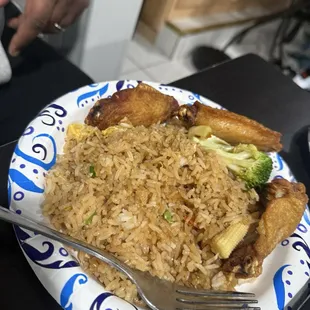 Wings and fried rice