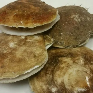 Scallop