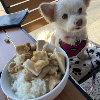 (d101) Mini Chicken Bowl