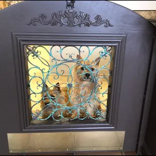 Welcoming committee and Play Ambassadors, Paco and Kobe