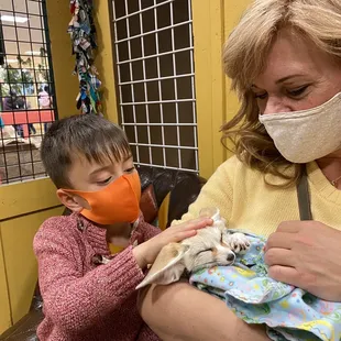 Only an extra $10 to hold a Fennec Fox!!!