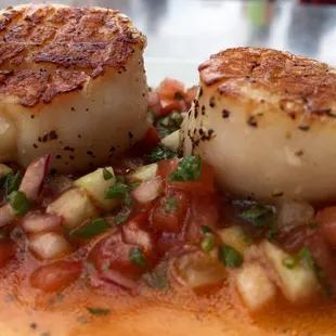 SUteiShi Scallops