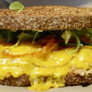 Tuna melt on toasted wheat bread with everything on it