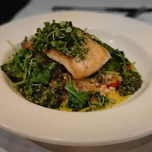 December special Sea Bass in Risotto