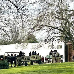 So fun seeing the school kids on a field trip!