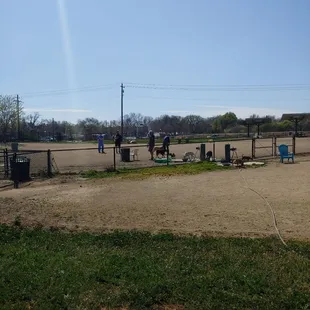 What a beautiful day it is at this dog park.