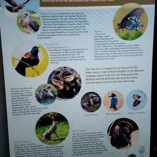 Educational Material