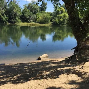 New spot