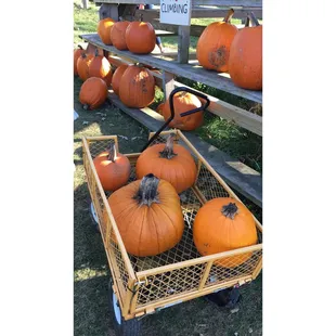 Everything is $1.25 per lb. We got these for just under $18.