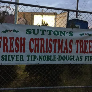 Year 3 for Silver Tip Xmas trees. Sunset near S.Whitney! Family owned &amp; operated biz!  I can't say enough about how great they are!