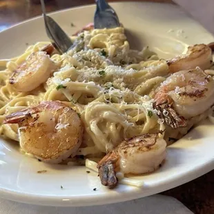 Shrimp Alfredo