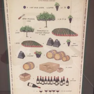 &quot;Wine Math&quot; poster helps me after a couple of tastes.