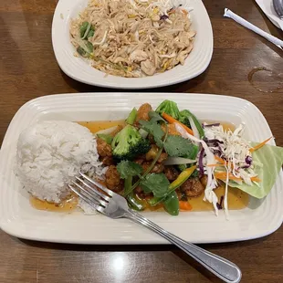 Pad Thai &amp; Crispy Chicken! Don't let the size of the plate fool you. The lunch portion of the Pad Thai filled me up.