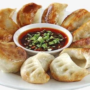 Pan Fried Dumplings