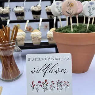 Diy plant pot with cake pops