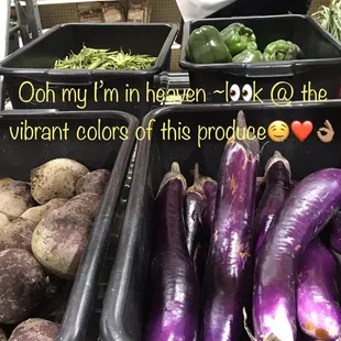 a variety of vegetables in bins