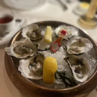 Oysters on the half shell