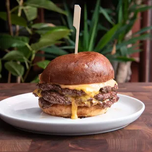 a cheeseburger on a plate