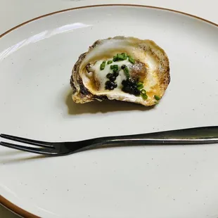 food, shellfish, oysters, oysters and mussels, mussels