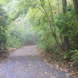 Walking Trail