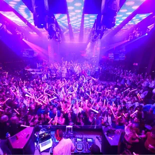 Best party animals in town!