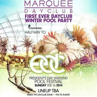 Winter Dayclub Pool Party! (702)900-2995