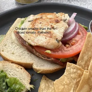 A chicken sandwich with a piece of chicken smaller than the sliced tomato!