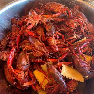 5lbs of boiled crawfish with ravioli