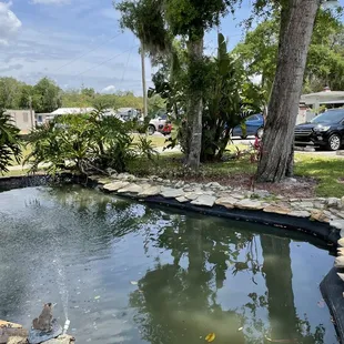 Outside area