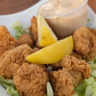 Gator bites