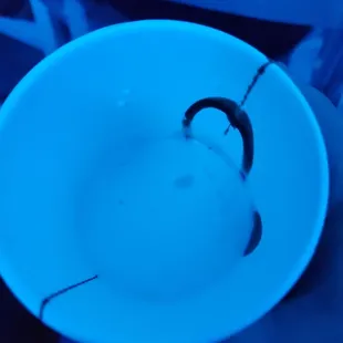 a blue bowl with a black handle