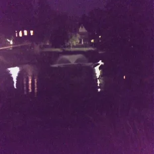 Night photo with phone.