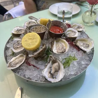 CHILLED OYSTERS