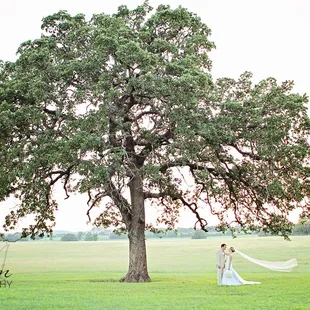 A gorgeous sunset wedding at Classic Oaks Ranch Wedding &amp; Event Center, Mansfield, TX. 5/31/14