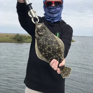 2nd Flounder (they're still weird looking), quest for the Texas Slam, Fly Fishing Guide Matt Dodson, Swan Landing Fly Fishing Shop.