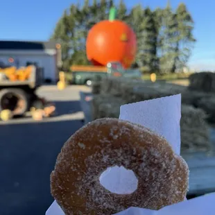 Apple cider donuts, so fresh and delicious