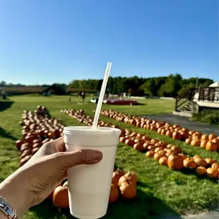 Apple cider delicious