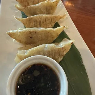 Pan Fried Gyoza