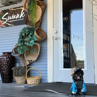 Dog friendly too.  We enjoyed brunch today.