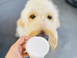 Snoqualmie Ice Cream